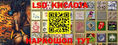 крисы Гатчина