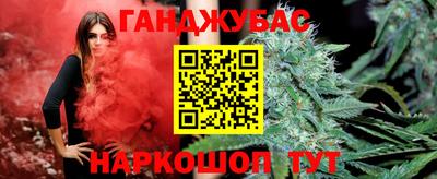 крисы Гатчина