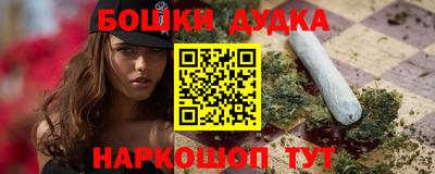 крисы Гатчина