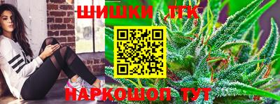 крисы Гатчина