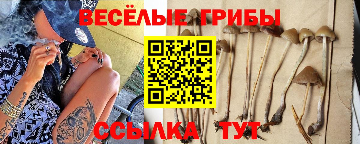 Галлюциногенные грибы GOLDEN TEACHER  купить наркотик  Назарово  Вход с VPN 